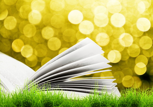 Des livres pour un été spirituel