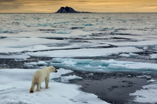 Les Églises et le changement climatique