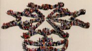 Livre : La nouvelle France protestante