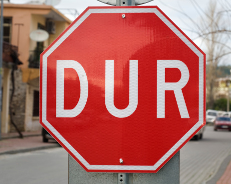 Turquie : le choix des mots