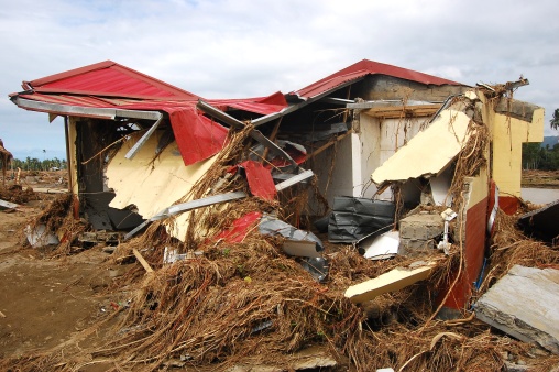 Les ONG face au typhon Haiyan
